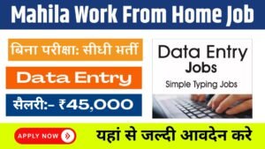 Mahila Work From Home Job