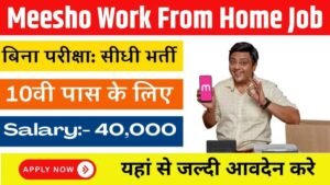 Meesho Work From Home Job